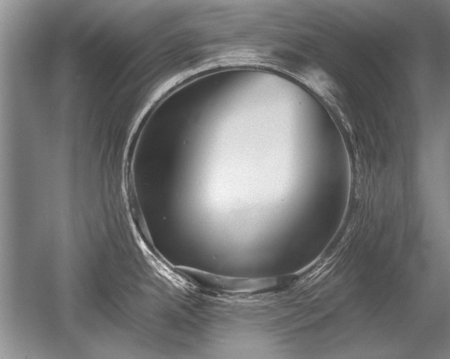 X0000052581342200507081718