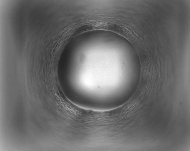 X0000052581345200507081717