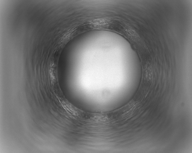 X0000052581346200507081717