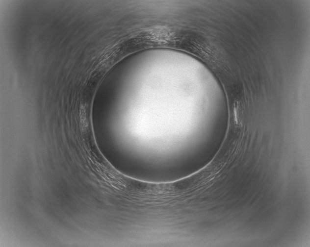 X0000052581347200507081717