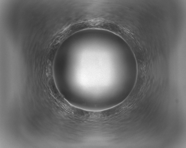 X0000052581349200507081717