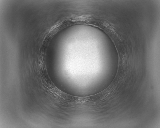 X0000052581350200507081717