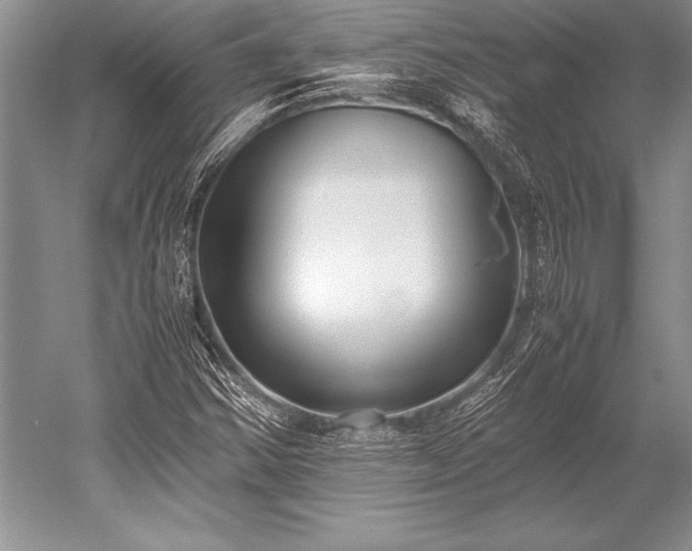X0000052581354200507081717