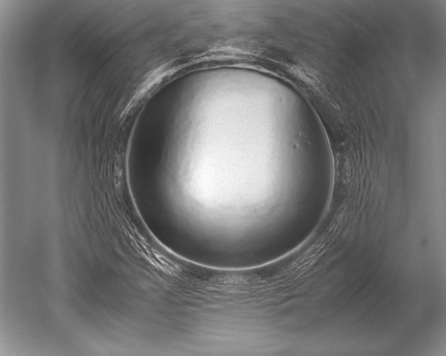 X0000052581355200507081717