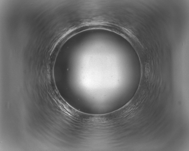 X0000052581356200507081717