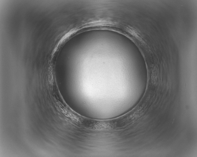 X0000052581358200507081717