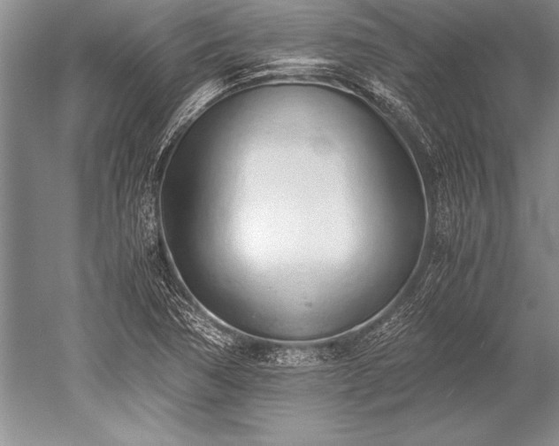 X0000052581362200507081717