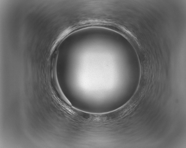 X0000052581365200507081717