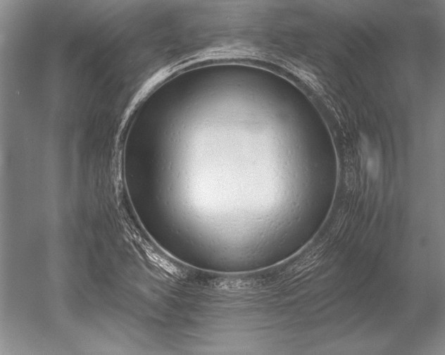 X0000052581366200507081717