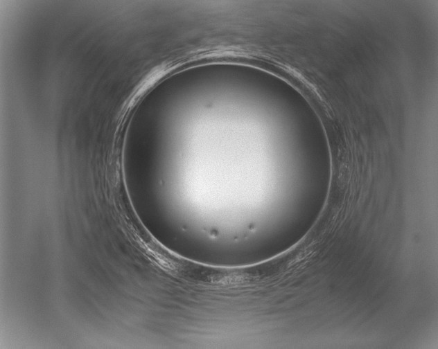 X0000052581367200507081717