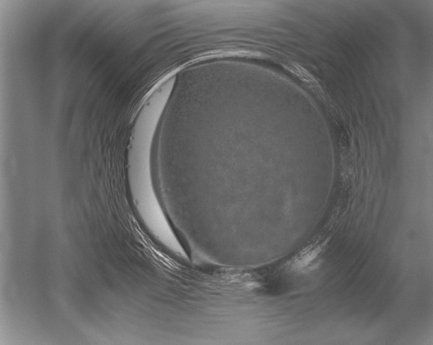 X0000052581369200507081717