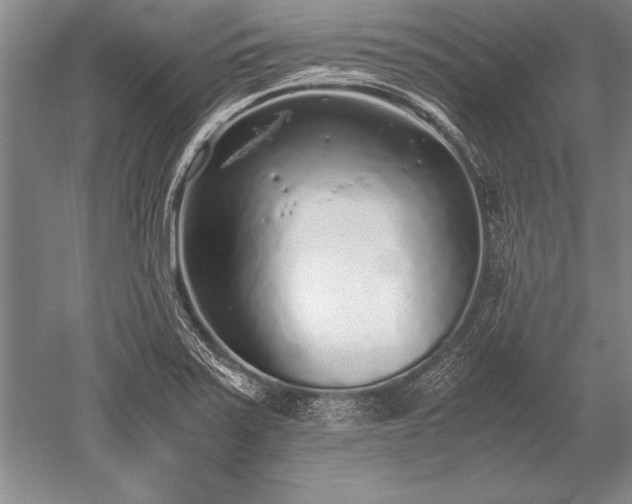 X0000052581371200507081717