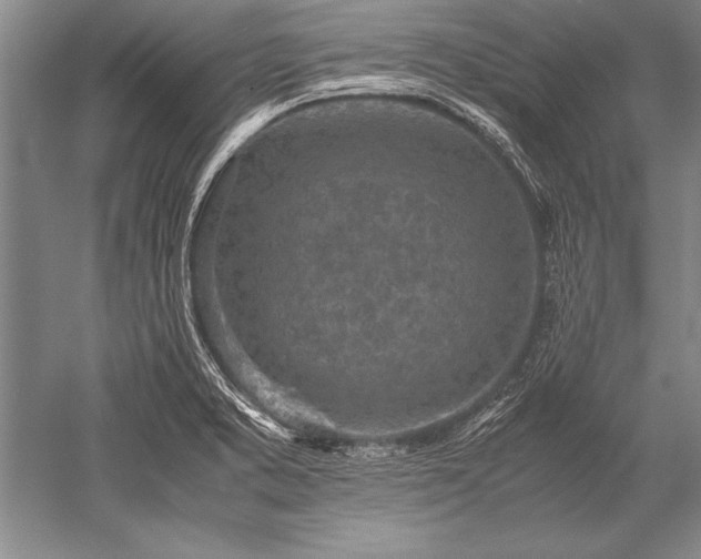 X0000052581373200507081717