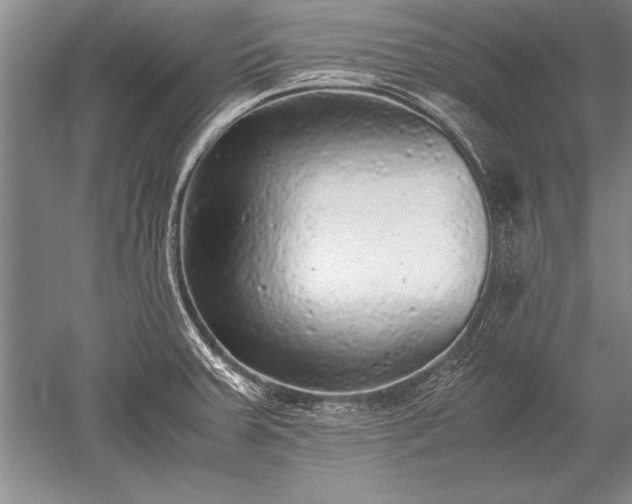 X0000052581379200507081716