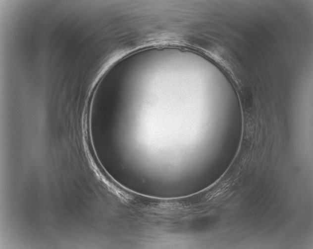 X0000052581383200507081716