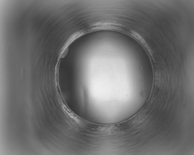 X0000052581386200507081716