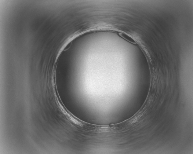 X0000052581390200507081716