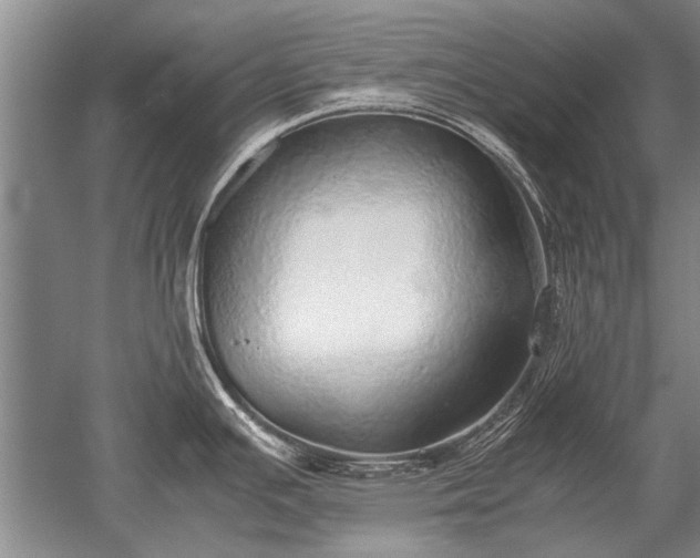 X0000052581391200507081716