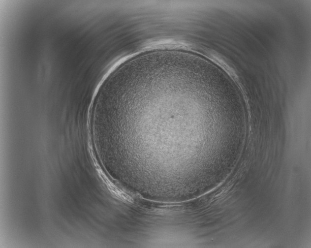 X0000052581392200507081716