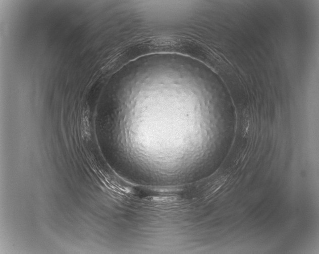 X0000052581394200507081715