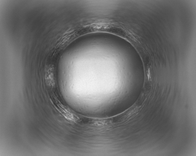 X0000052581396200507081715