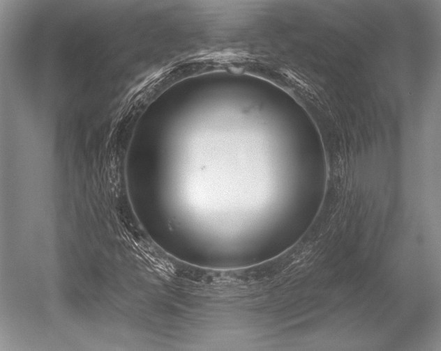 X0000052581398200507081716