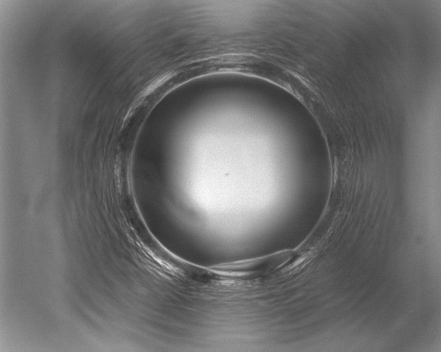 X0000052581402200507081716