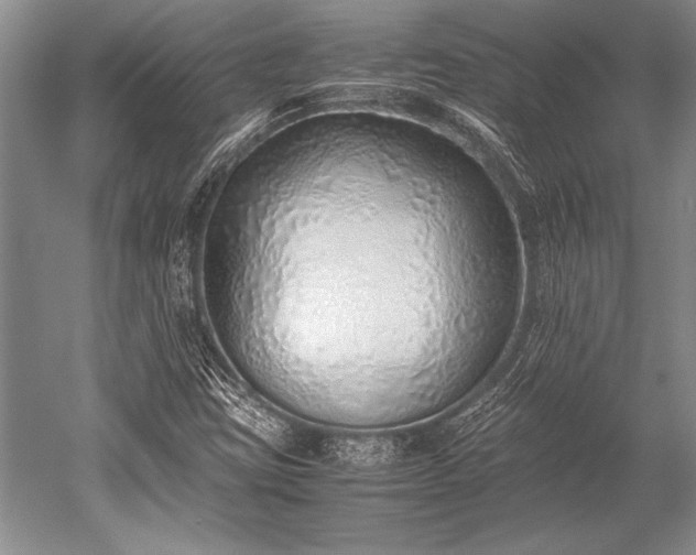 X0000052581403200507081716