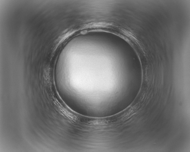 X0000052581404200507081716