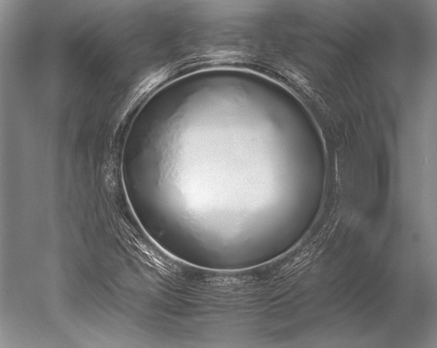 X0000052581405200507081716