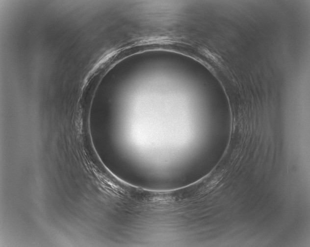 X0000052581406200507081716