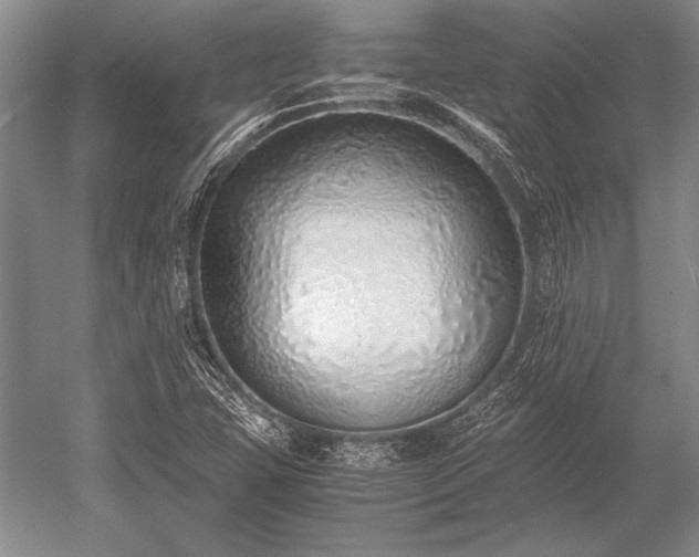 X0000052581407200507081716