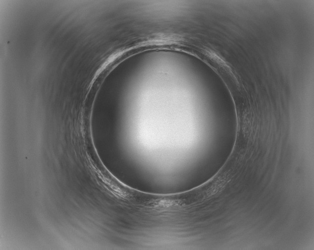 X0000052581412200507081716