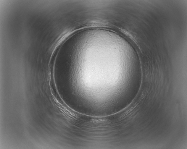 X0000052581415200507081716