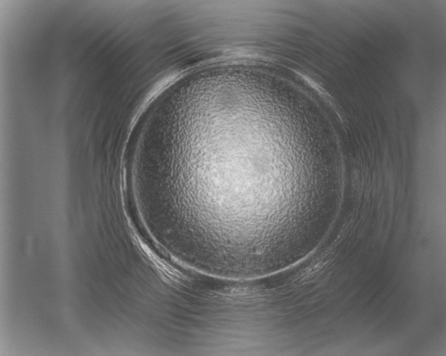 X0000052581418200507081716
