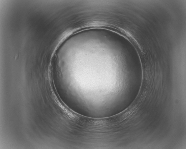 X0000052581421200507081716