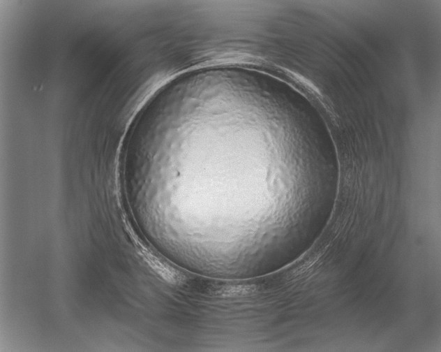 X0000052581423200507081716
