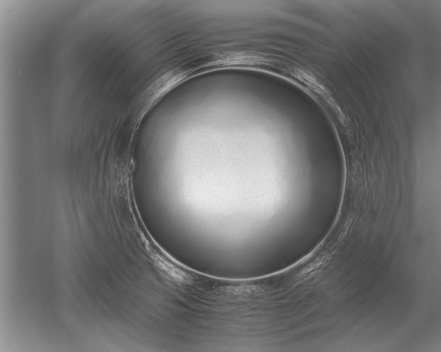 X0000052581425200507081716