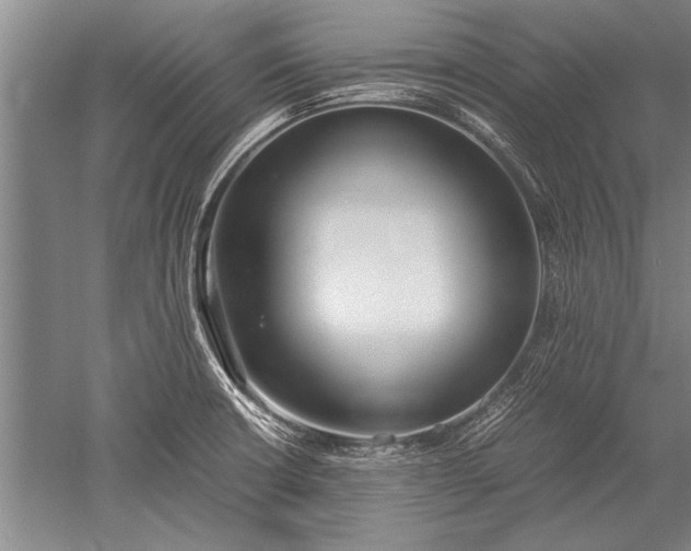 X0000052581426200507081716