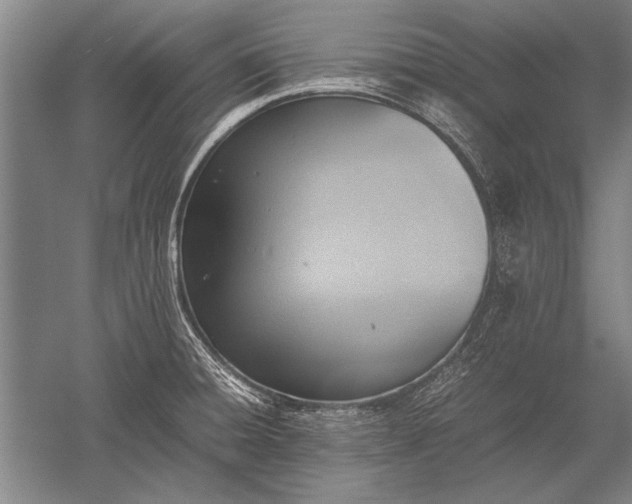 X0000052581428200507081716