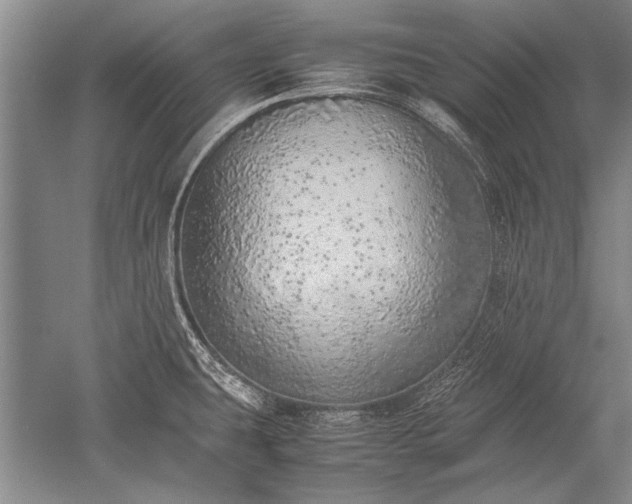 X0000052581431200507081716
