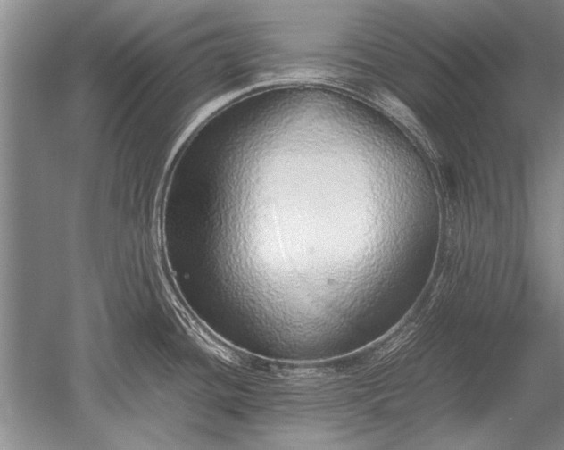 X0000052581436200507081716