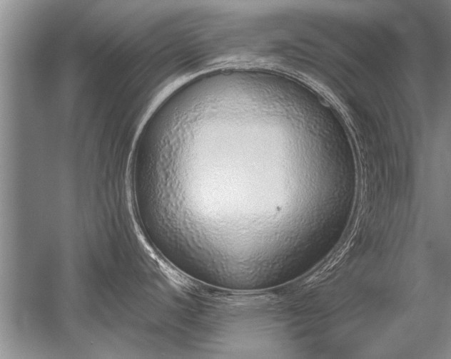 X0000052581440200507081716