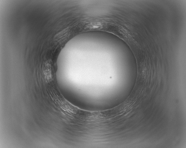 X0000052581442200507081715