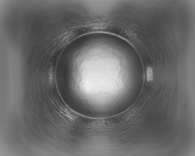 X0000052581444200507081715