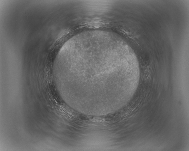 X0000052581446200507081715