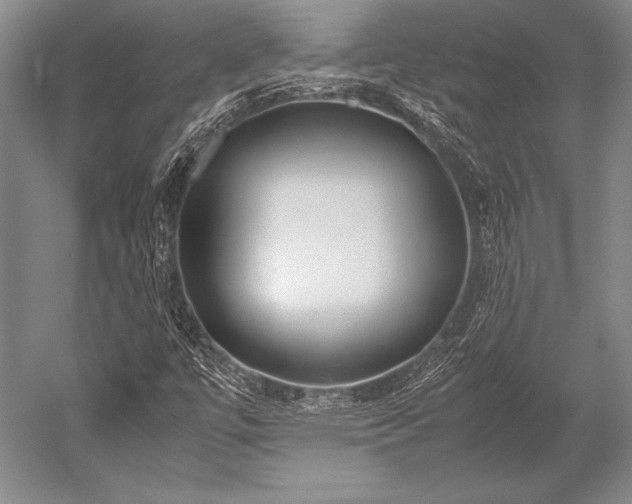 X0000052581447200507081715