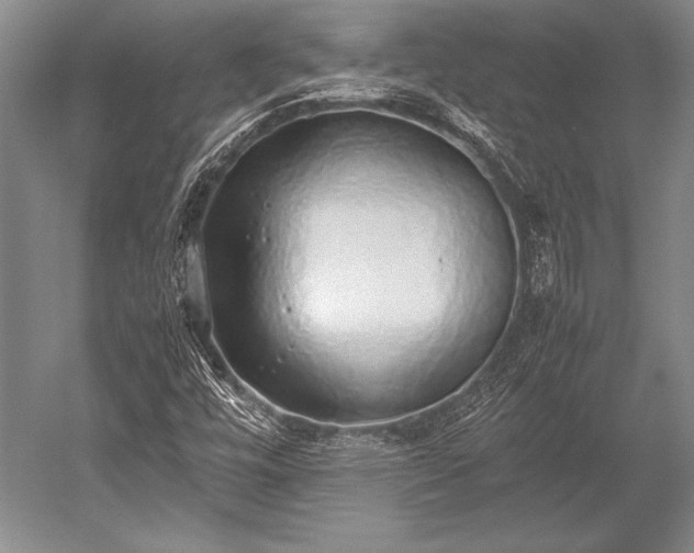 X0000052581448200507081715