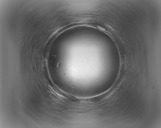 X0000052581449200507081715