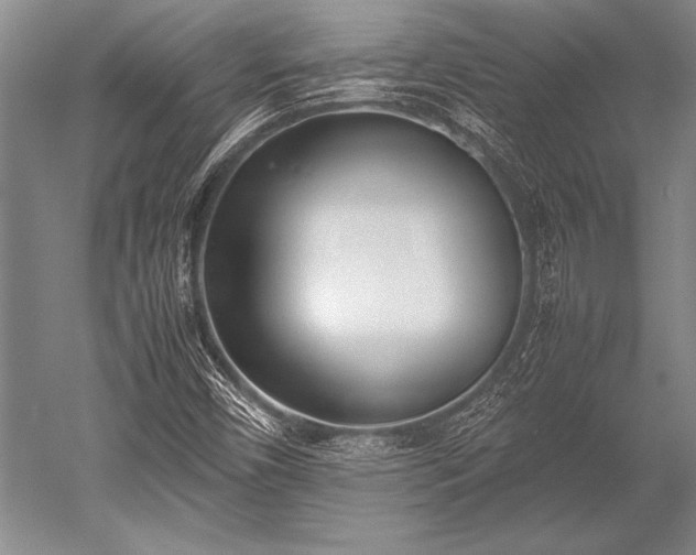 X0000052581450200507081715